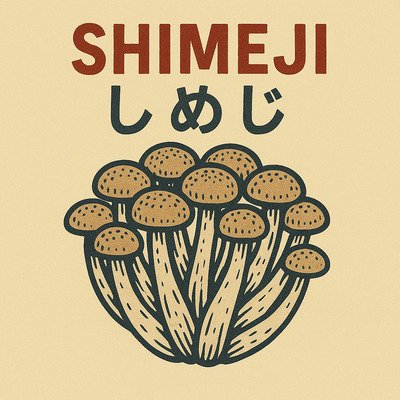 mazzetto di funghi SHIMEJI